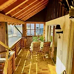 Altstadtblick شيلتاخ